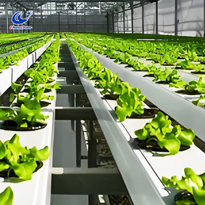 Tubería de diseño modular, sistema de cultivo hidropónico sin suelo para cultivo hidropónico de alto rendimiento y ahorro de agua - Product Image 4