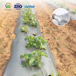 Film de paillage réfléchissant argenté noir pour le réchauffement du sol, moulé par soufflage, anti-mauvaises herbes, protégé contre les UV, film de couverture agricole pour <span class=keywords><strong>tomates</strong></span> - Product Image 3