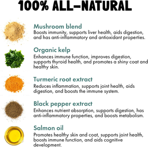 Alivio del Dolor Articular, Cuidado de Cadera y Articulaciones, Glucosamina para Perros, Suplemento Avanzado para Articulaciones, Aceite de Pescado Omega 03, Condroitina, MSM - Product Image 4