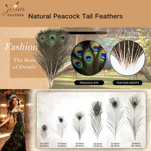 Plumas de Cola de Pavo Real Naturales al por Mayor, 50-120 cm, de Alta Calidad, para Bodas, Carnavales, Festivales, Disfraces, Decoración del Hogar y Manualidades - Product Image 4