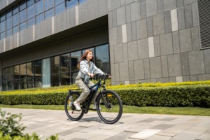Bicicleta Eléctrica de Montaña Duotts C29 para Cross-Country con Cuadro de Aluminio y Motor en el Buje Trasero - Product Image 5