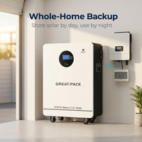 Batterie ESS montée au sol 51,2 V 16 kWh 314 Ah, batterie de stockage solaire intelligente 15 kWh 300 Ah avec BMS, systèmes de stockage d'énergie domestique