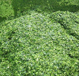 Single Row <b>Corn</b> Silage Forage <b>Harvester</b> Tractor Mounted Silage <b>Harvester</b> High Quality Tractor Driven Forage <b>Harvester</b> High Quali - Product Image 3