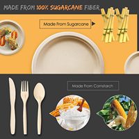 Ensemble de vaisselle écologique biodégradable en bagasse et bambou JIAHUI pour les fêtes - Comprend des assiettes, des fourchettes, des couteaux, des cuillères