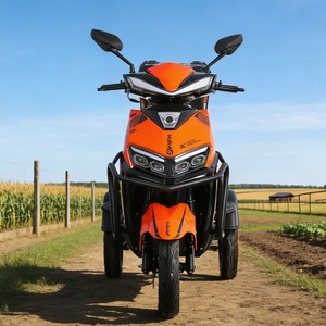 Nieuwe 150cc benzine driewieler |   Seniorenvriendelijke, aanpasbare off-road mobiliteits <span class=keywords><strong>scooter</strong></span>, mobiliteitshulpmiddel voor gehandicapten - Product Image 5