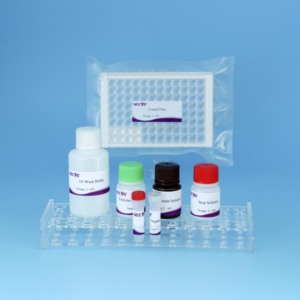 Kit d'anticorps ELISA <span class=keywords><strong>Streptococcus</strong></span> Equi | 96T | Certifié CE | Test d'étranglement de cheval - Product Image 4