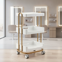 Chariot de beauté de haute qualité, chariot à roulettes pour la beauté, la maison, la chambre, l'esthétique, le maquillage et les soins de la peau