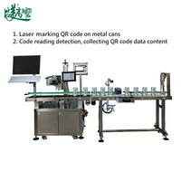Machine de marquage laser CO2 transparente pour le marquage des boîtes de lait en poudre (haut et bas) avec vérification automatique du contenu par vision en temps réel