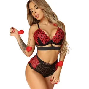 Thiết Kế Mới Thêu Phụ Nữ 3 Piece Set Fancy Sexy Đồ Lót Ren Đồ Lót Panty Nighties Set Cho Sexy