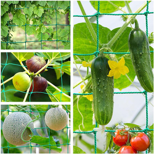 DaringFish Grille de support pour plantes grimpantes en nylon pour jardin et cour, idéale pour concombres, tomates et pois - Product Image 4