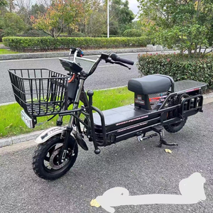 RC Heavy Load <b>72V</b> 1000W Brushless Hub Motor Electric Motorcycle & Scooter 500KG Waterproof Cargo Delivery Bicycle 61-80km/h - Product Image 4