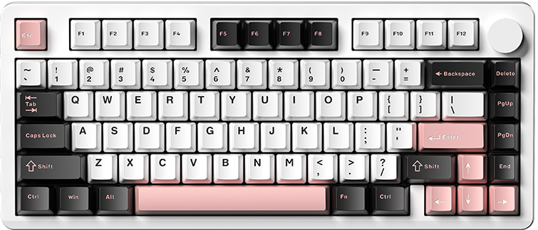 Electroforesis Blanca