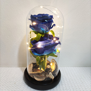 Rosas artificiales en cúpula de cristal con luz Led, flores de seda decorativas para el hogar, regalo festivo, rosas artificiales populares, 2 unidades - Product Image 5
