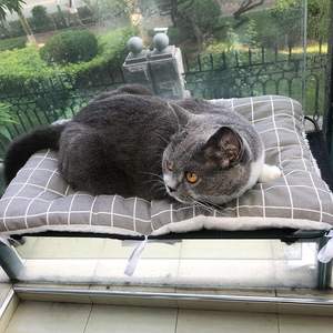 Hamacas Para Gatos Hamaca Ventana Colgante Cama Para Gatos De Interior - Product Image 5