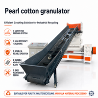 Équipement de granulation de mousse EPE personnalisé, machine de pelletisation pour le recyclage des déchets, pour le marché mondial