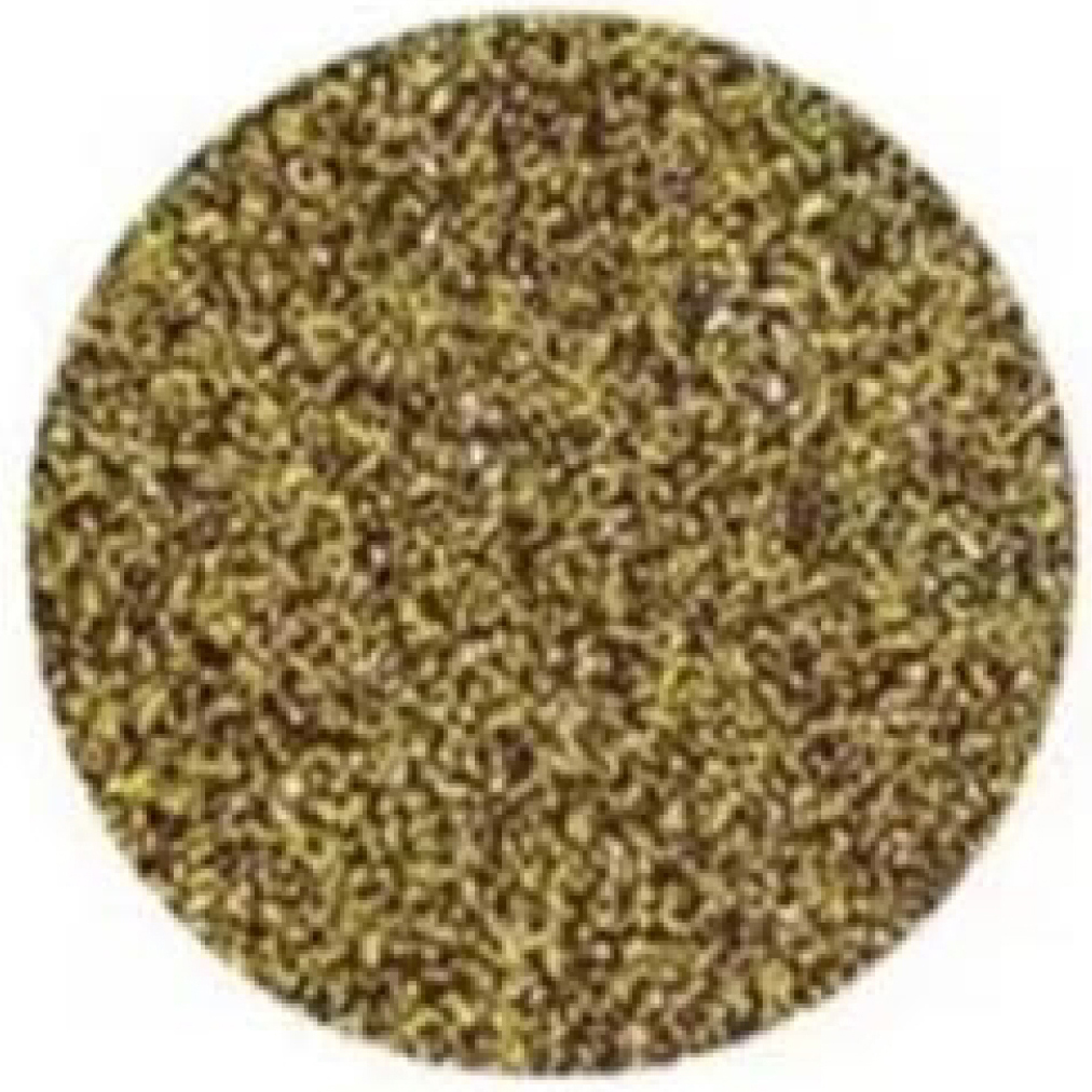 COMPOSITE-yellowish white