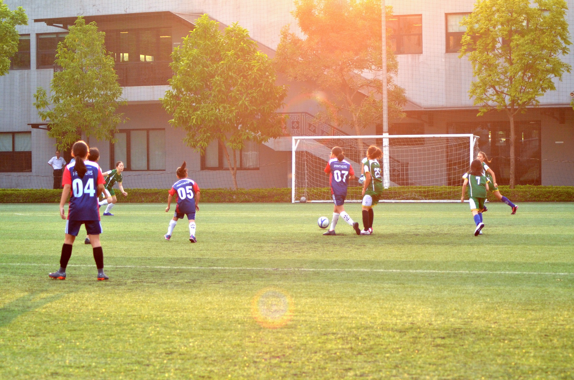 Hot-selling UV-Resistance Landscaping Garden Home Lawn Natural-Looking artificial Grass