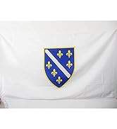 Bandera Nacional de Aluminio con Impresión Digital Personalizada, Bandera Mini de 3x5 pies, Venta al por Mayor, Impresión a una Cara, Cualquier Logotipo - Product Image 2