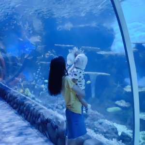 China Fabriek Voor Dikke Acryl Panelen (50Mm-1000Mm) Voor Mega <span class=keywords><strong>Aquarium</strong></span> Tunnels En Ramen - Product Image 3