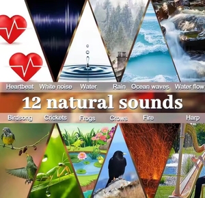 Nhà máy mô hình tư nhân bé tiếng ồn trắng máy màu xanh răng Loa cốc hút dây buộc tiếng ồn Trắng ngủ Máy tự làm nguồn âm thanh - Product Image 6