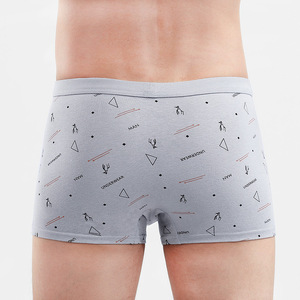 Guangdong Plus Size Placement Print Custom Designer Fashion Printing intimo in cotone traspirante slip da uomo Sexy boxer Shorts