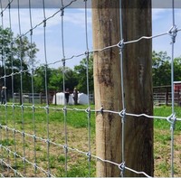Hete Verkoop Zwaar-Zink Gecoate Gegalvaniseerde Stalen Boerderij Archief Hek Runderen Schapen Herten Boerderij