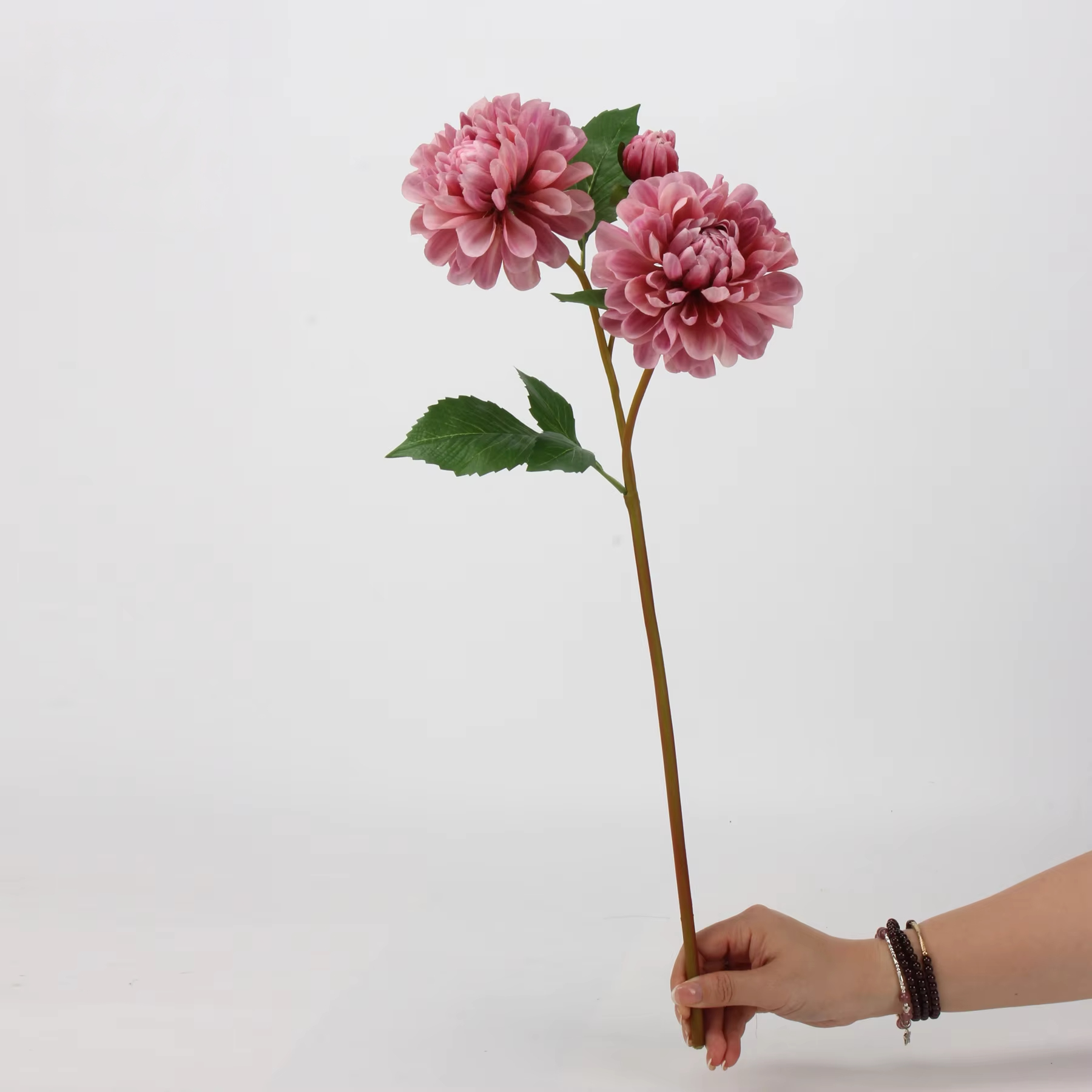 Violet-rouge - réservation obligatoire