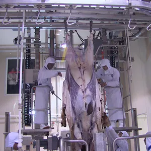 Inek mezbaha bitki tam kesim için uluslararası lal gıda standı Slaughter ev sığır derisi makinesi