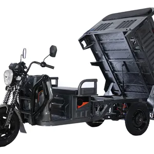 Freight Tricycle 48V650W Motor 1.6m Storing Space 2050mm Wheel Distance Lead-Acid Battery