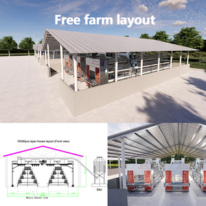 Système d'équipement avicole pour l'élevage de poules pondeuses automatiques en cages de type H <span class=keywords><strong>à</strong></span> batterie, <span class=keywords><strong>à</strong></span> vendre - Product Image 3