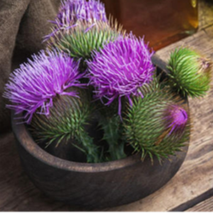 ミルクアザミエキス粉末80% シリマリン食品グレードシリマリン粉末80% 98% シリマリンシリビン含む1kg - Product Image 6