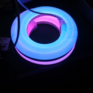 Tira de Luz LED RGB de Neón Dinámica con Forma de Domo, 24V, IP68, Impermeable, para Paisajismo - Product Image 4