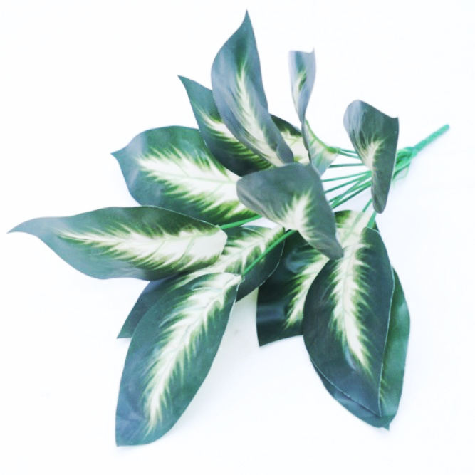 12 branches - Noyau blanc