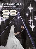 10W 6W 5W 4W 3W 2W Rgb Etapa animada a todo color ILDA FB4 DJ Bar Laser Show Equipo de luces Sistema de iluminación