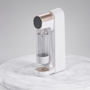 El producto más Popular, máquina de agua de soda para el hogar de escritorio, bricolaje, saludable, sin aditivos, bebidas carbonatadas de CO2 caseras, agua con gas - Product Image 6