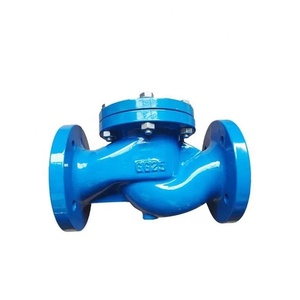 Válvula de Retención de Hierro Fundido Tipo Elevador, Estándar DIN - Product Image 5