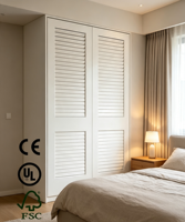 Porte à persiennes en bois massif, design moderne à 2 panneaux, avec finition apprêt blanche, pour armoire de chambre à coucher
