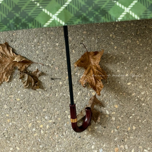 <span class=keywords><strong>Parapluie</strong></span> rétro Knowledge Umbrella, crochet, couleur contrastée, pliable, en fer noir, manuel, double usage, soleil et pluie, portable - Product Image 6