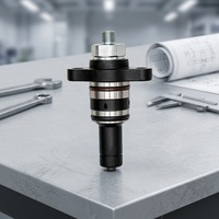 S16001 CP2 Plunger Common Rail
