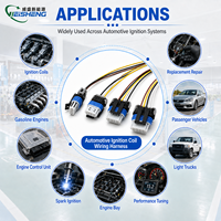 Kabel Harness Konektor 4 Pin Custom 3.5mm Centerline Pigtail untuk Koil Pengapian