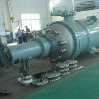Prix du réacteur chimique haute pression à haute température Borui 1000 litres