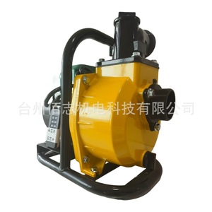 Centrifugal <b>Pump</b> 1 Hp Dc Motor 1 In Flange Connection 7 M <b>Suction</b> Head For Agricultural And Household Use - Product Image 2