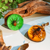 Fournitures scolaires Personnalisation de la taxidermie des insectes réels Aides pédagogiques en résine transparente Observation des insectes Beetle Spécimen d'insectes colorés