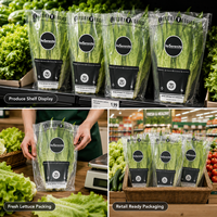 Sacs à laitue trapézoïdaux imprimés sur mesure, sacs d'emballage transparents pour produits frais et légumes avec impression en héliogravure
