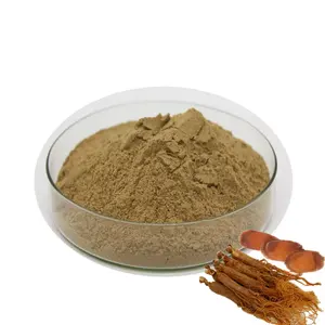 High Quality Red Ginseng Extract 80% Ginsenoside Red Ginseng Root Extract