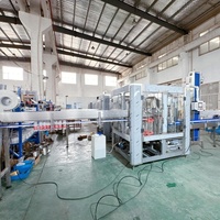 Ligne de production professionnelle pour la mise en bouteille de petites boissons, machine de remplissage, de bouchage et d'étiquetage de bouteilles d'eau