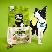 Sacs d'emballage personnalisés pour aliments pour animaux de compagnie, pochettes verticales refermables avec fermeture éclair, qualité alimentaire PET/AL/PE, anti-odeur, finition mate, impression en héliogravure