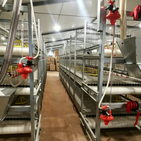 Cages à poulets automatiques de type H pour poulets de chair, équipement avicole automatique pour ferme avicole au Kenya