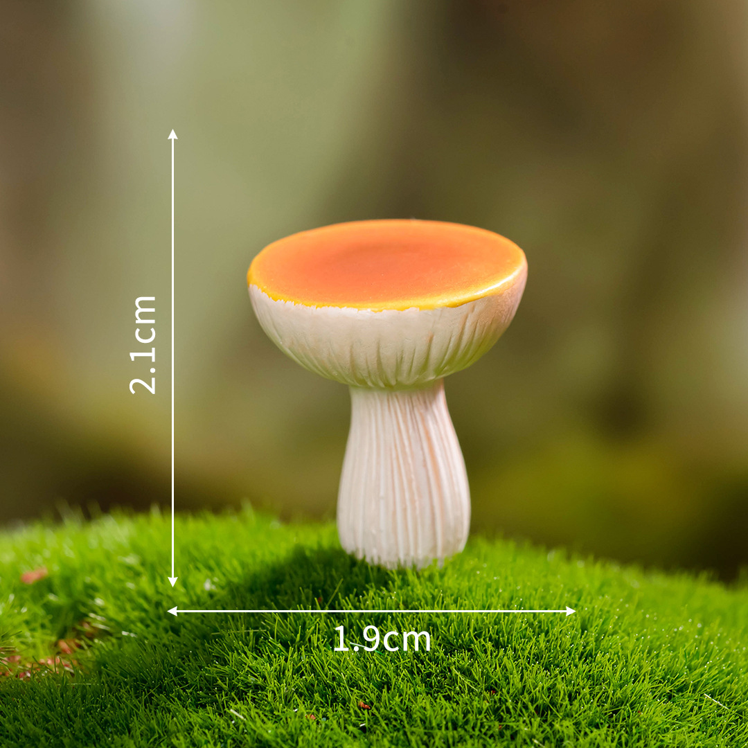 No 8-dream mushroom