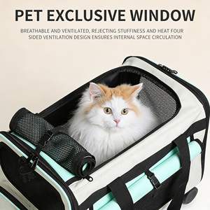 Sac de transport pour animaux de compagnie de style nouveau, grande capacité, bagages à roulettes, roues à 360 degrés, sac d'extérieur pour chats et petits chiens - Product Image 1